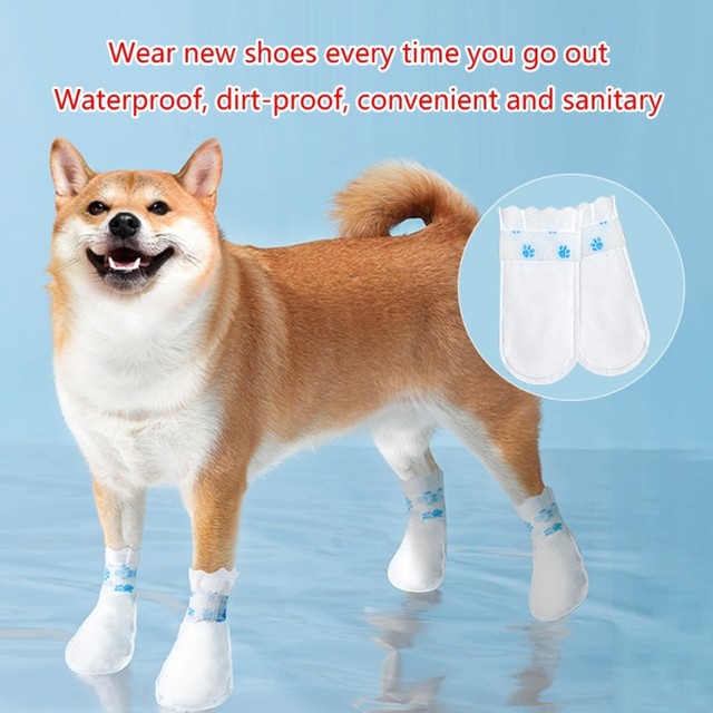 Waterproof sock sales for dogs