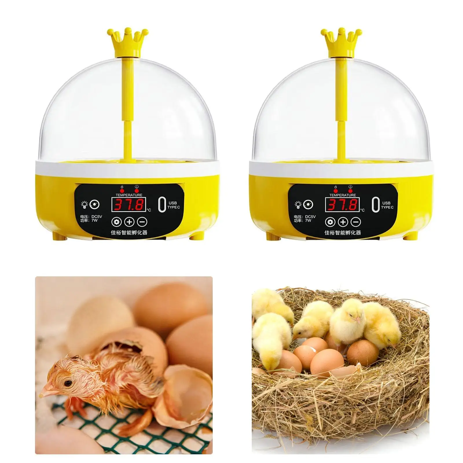 Digital Egg Incubator Poultry Hatcher Hatching Small Egg Turner Tray Household Chicken Incubator for Pigeon Birds Quail Supplies