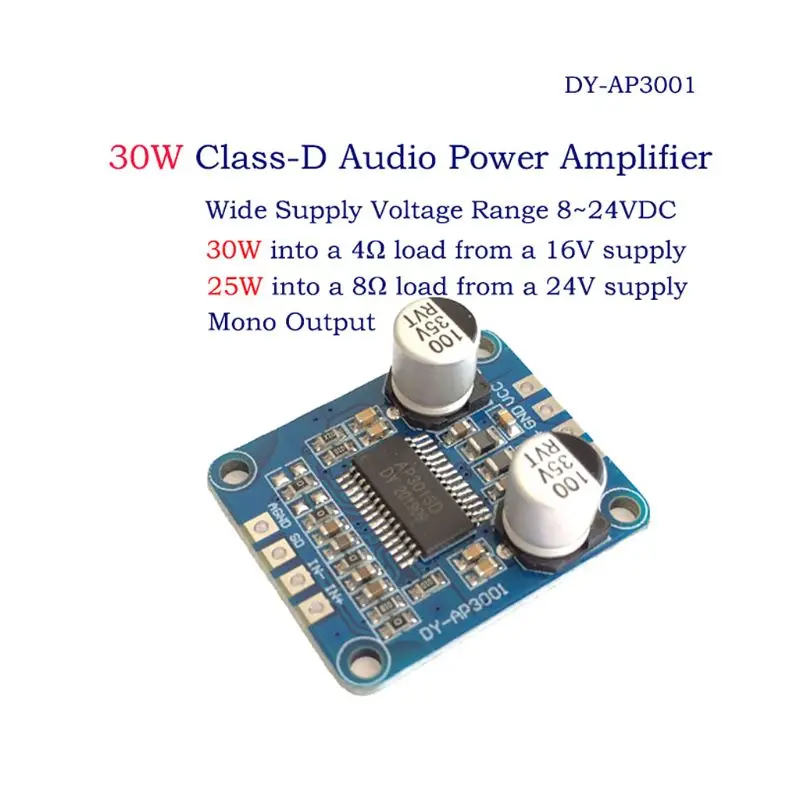 DY AP3001 High Power Digital Amplifier Module Mono Class D DC 12V 24V 8V 24V  for 10W 20W 30W 300W Speaker|Ultrasonic Cleaner Parts| - AliExpress