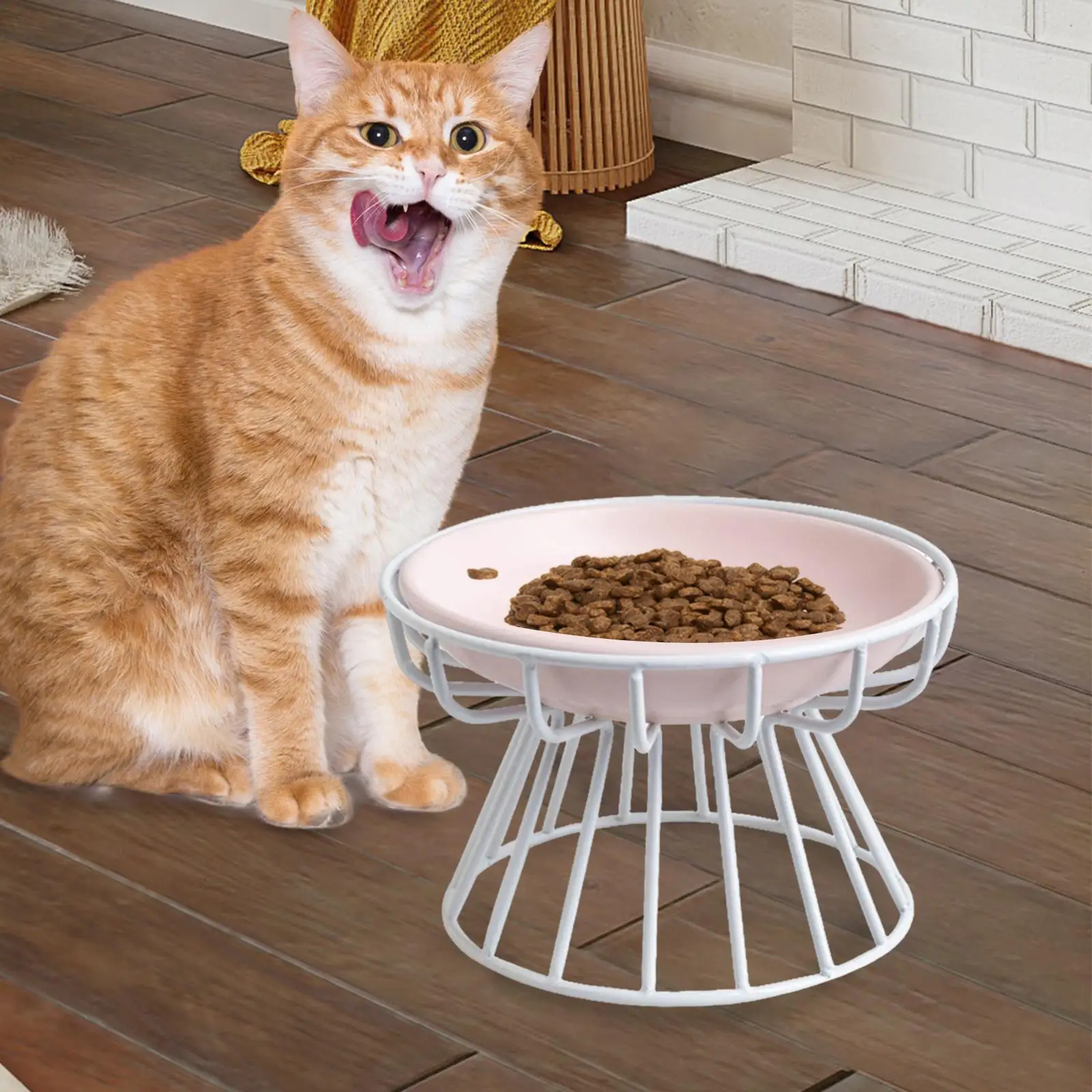 Elevated Cat Feeder Bowl Ceramic Dish Iron Rack Anti Slip Stylish for Puppy