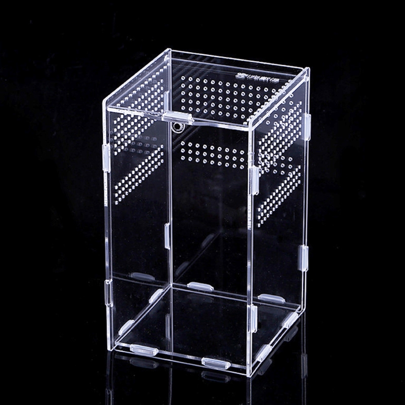 Title 5, Insect Feeding Box Transparent Acrylic Terrariu...