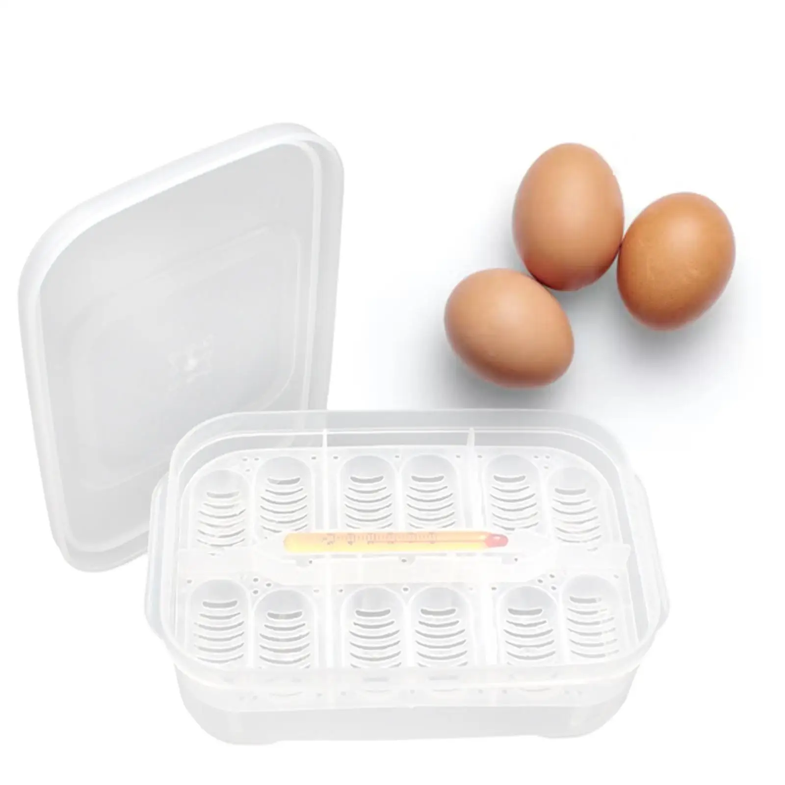 Plastic Reptile Egg Tray Incubator 12 Grids Thermometer with Eggs Tray Tool Container for Hatching Breeding Supplies Gecko Snake