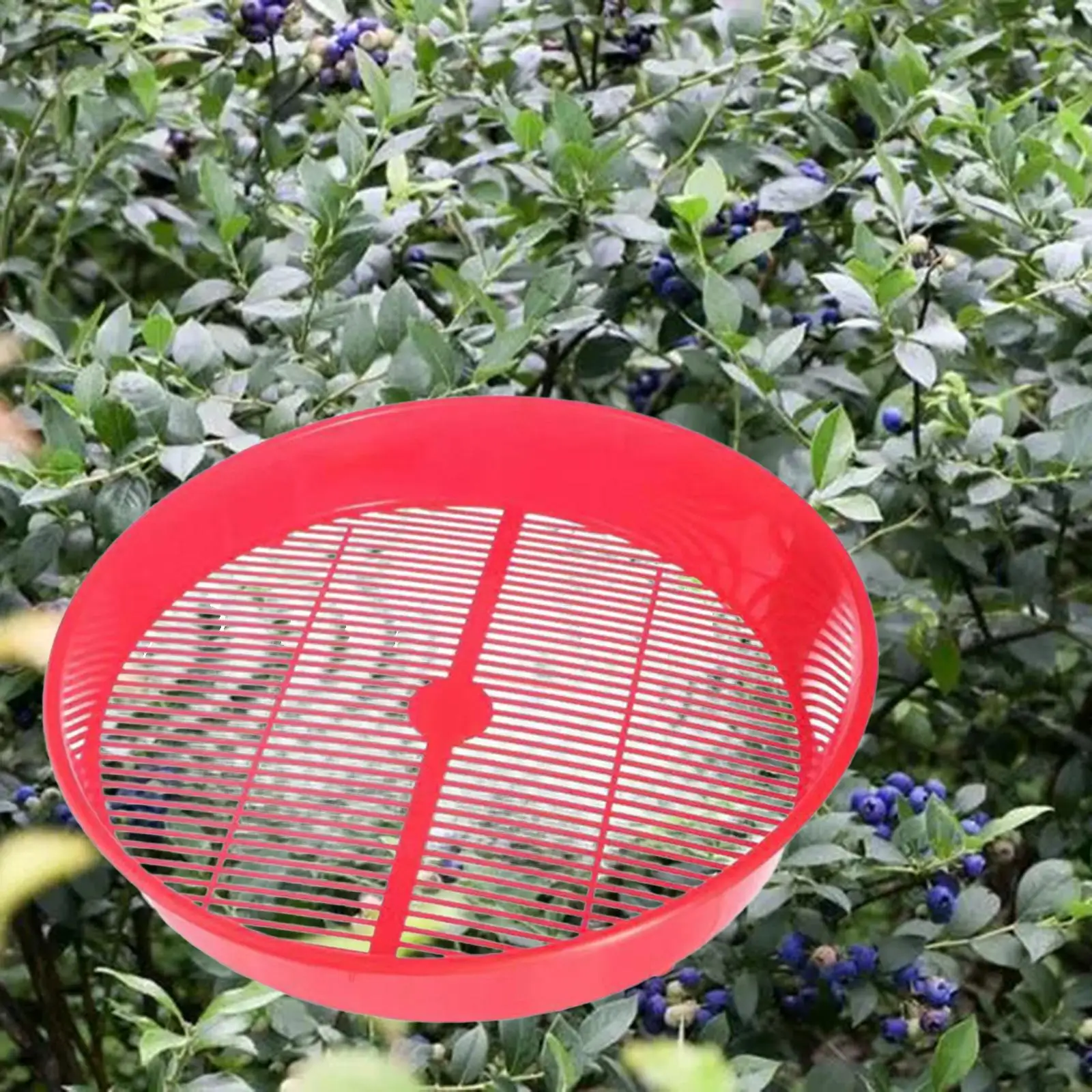 Berries Cleaning Basket Blueberry Draining Basket for Lingonberries Currants