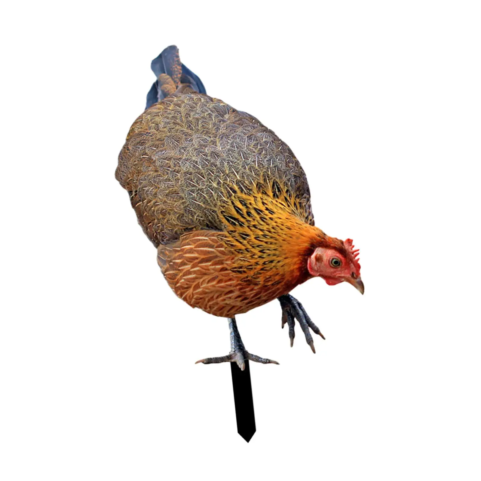 Garden Hen Lifelike Weatherproof Decorative Sign Ornaments Animal Statue Stakes for Outdoor Pathway Patio Courtyard Lawn Yard