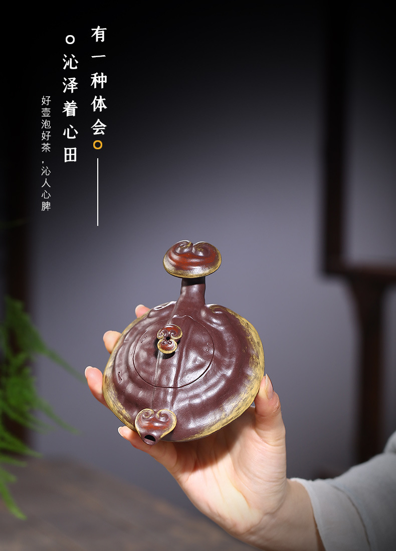 Ganoderma Ruyi_07.jpg