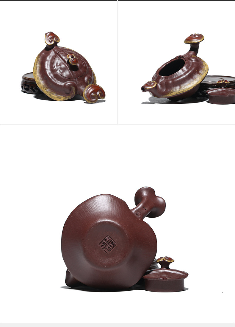 Ganoderma Ruyi_22.jpg