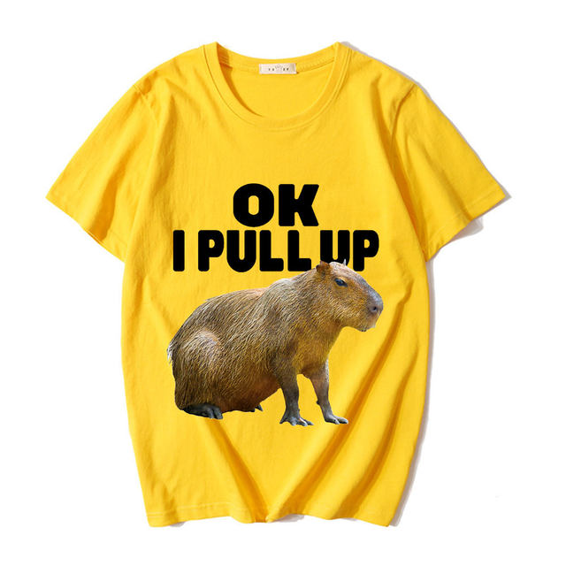 Capybara EU Szie T Shirt Funny Capibara Harajuku Tees Tops Men/women  Fashion T-shirt Cartoon Mange Y2k 90s Grunge Tshirt Clothes - AliExpress