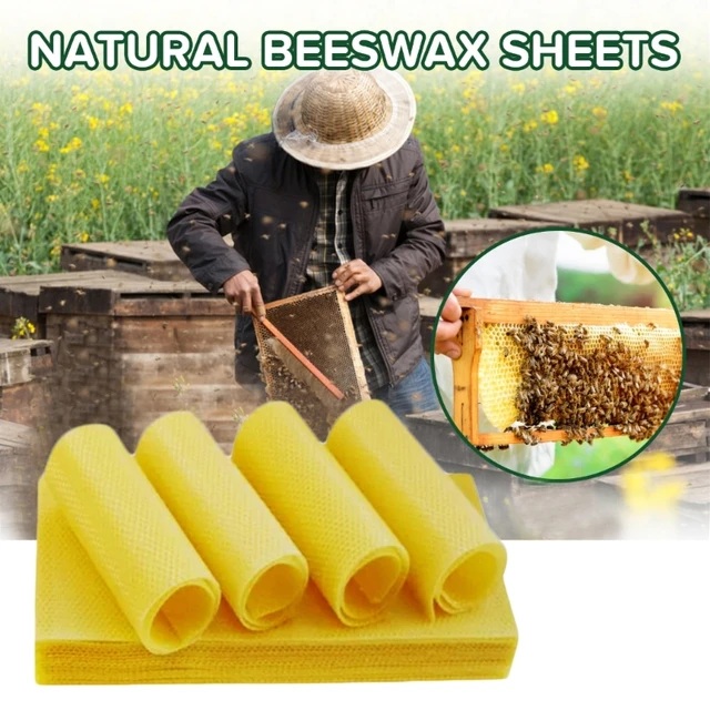 10pcs/box Beeswax Foundation Sheets for Candle Making Natural Bees