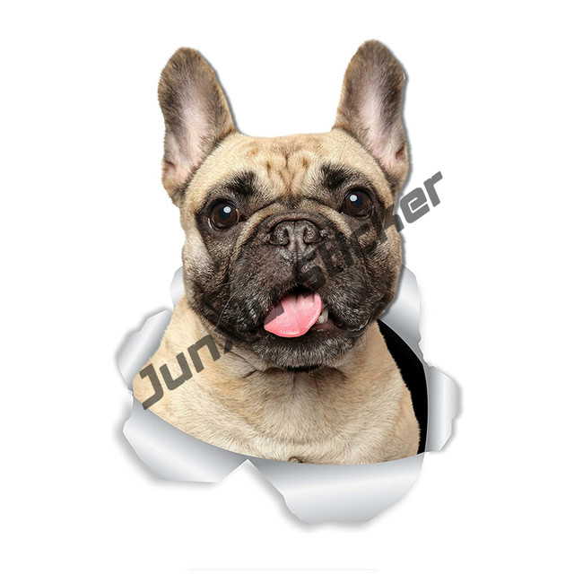 Adesivo Personalizzato Bulldog Francese - PVC Nero, Fino A 32 Cm, Per Auto Moto Laptop - Foto 6