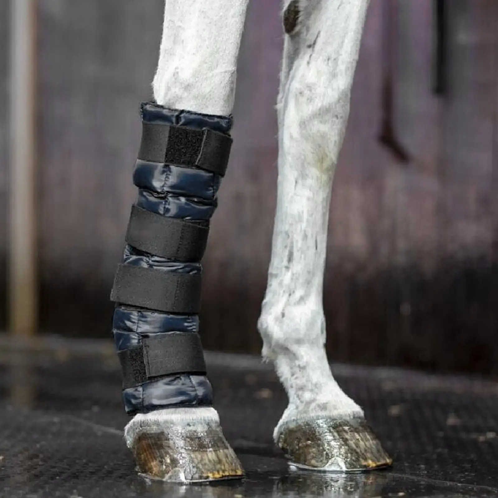 Adjustable Leg Cooling Boot, Reusable Pad Front Legging Compress Equine Leg Wraps for Knee Hooves Hock Professionals