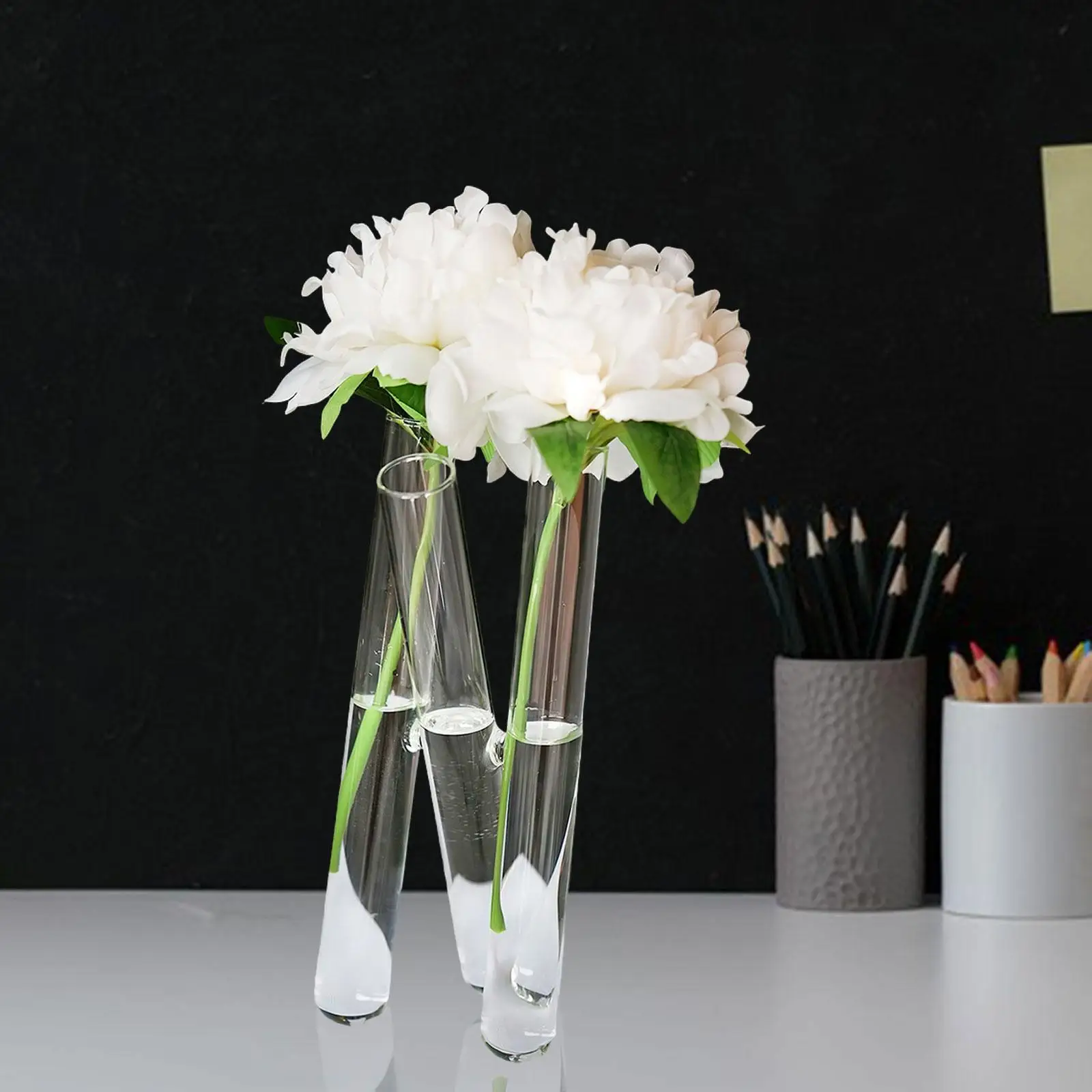 Test Tube Vase with 3 Test Tubes Propagation Decoration Hydroponic Plant Holder for Interior Living Room Desktop Kitchen Wedding