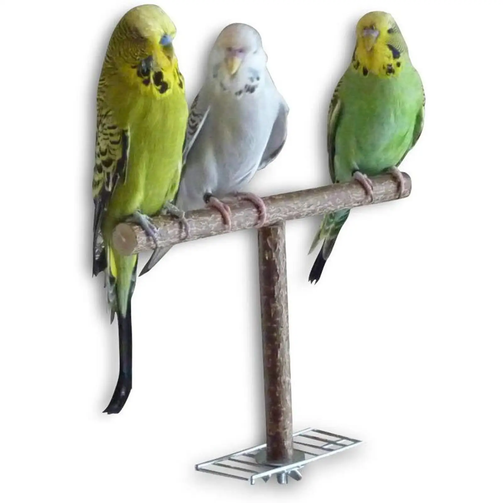 Chewing Toy Parakeet Toy Bird Cage Accessories Parrot Wooden Perch Bird stand Bird Accessories Finches Conures Exercise