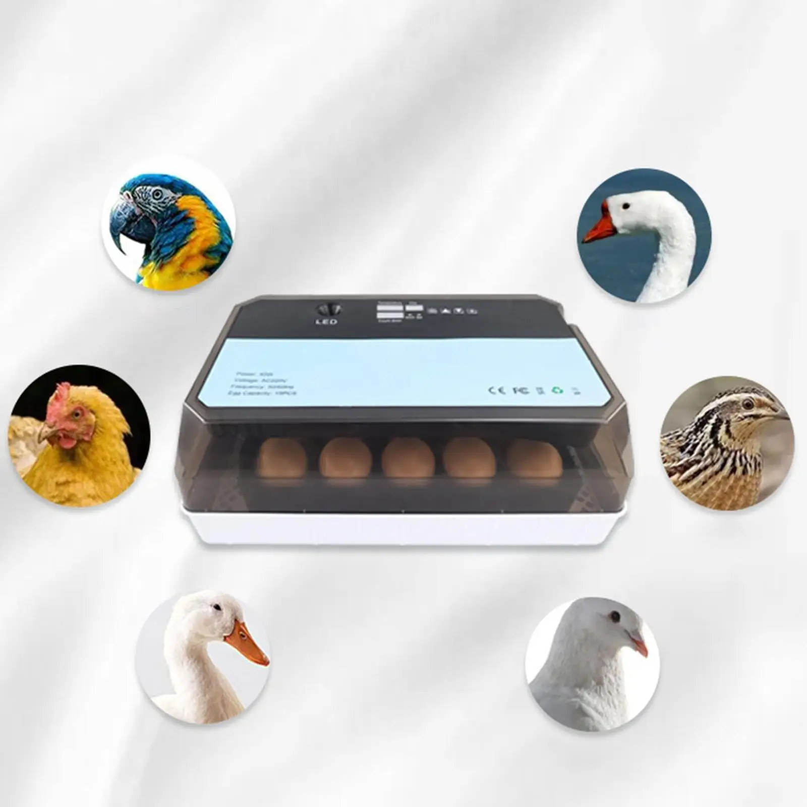 15 Eggs Incubator Automatic Temperature Control with Feeding and Drinking Bucket with Light Egg Hatcher for Hatching Chickens