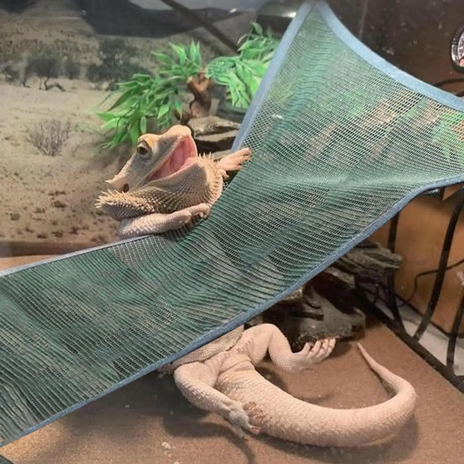 Black, M Snake and Other Reptiles Fix It Anywhere in The Reptile Case,Great for Lizard YunZyun Lizard Hammock 2Pcs Pet Mesh Hammock Sleeping Bed Climb for Reptile Lizard with Suction Cup 
