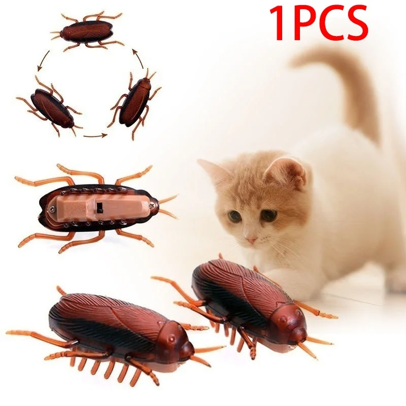Delysia King Cockroaches Pet Cat Dog Training Play Toy