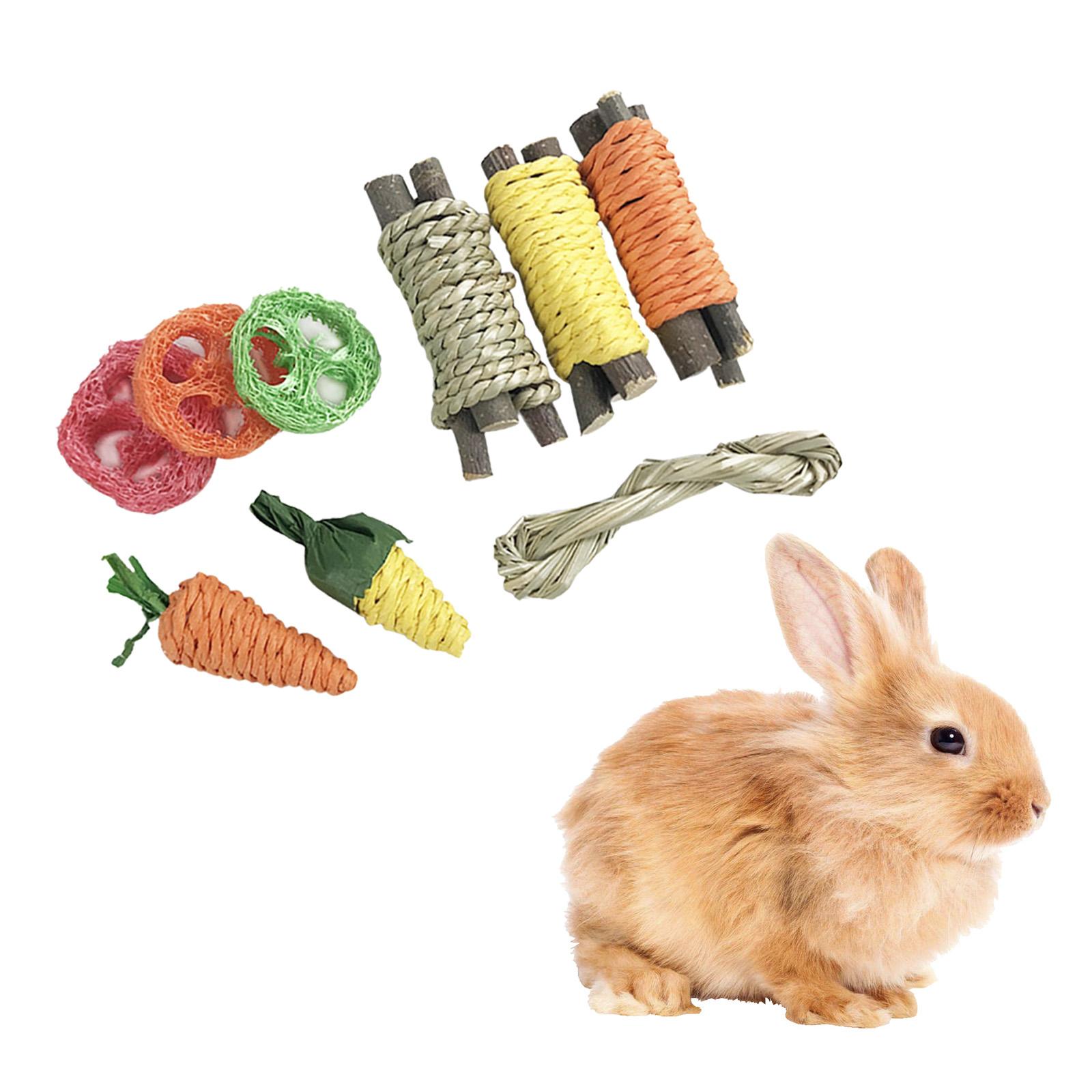 9Pcs Bunny Hamster Rabbit Chew Toys Teeth Care Radish Bite Grind Teeth Toy