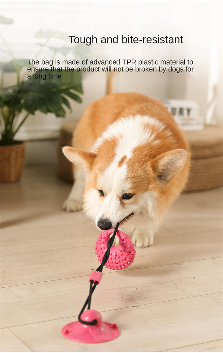 Dog Toys Silicon Suction Cup Tug Interactive Dog Ball Toy for Pet Chew Bite Tooth Cleaning Toothbrush Slow Food Pet Supplies