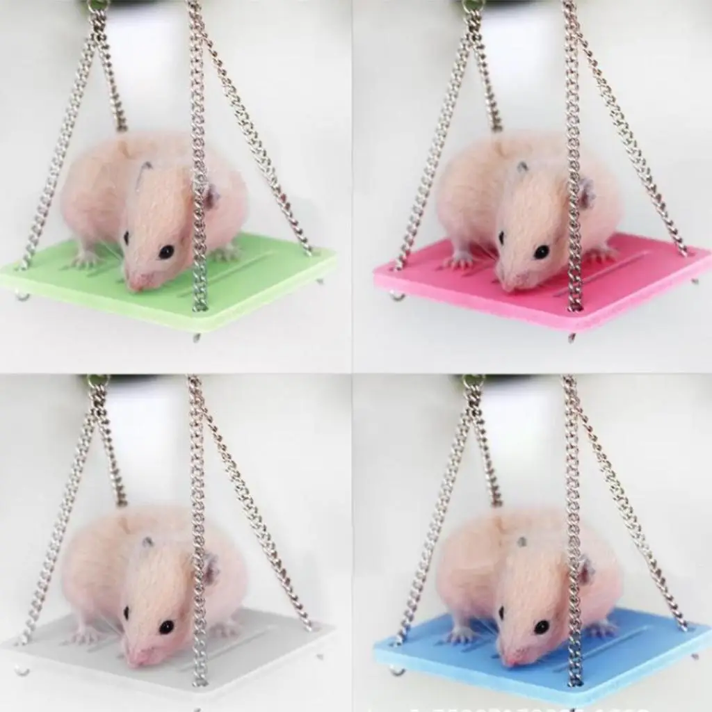 Chew Swing Hamster Toy Seesaw Rat Mouse Harness Parrot Hanging