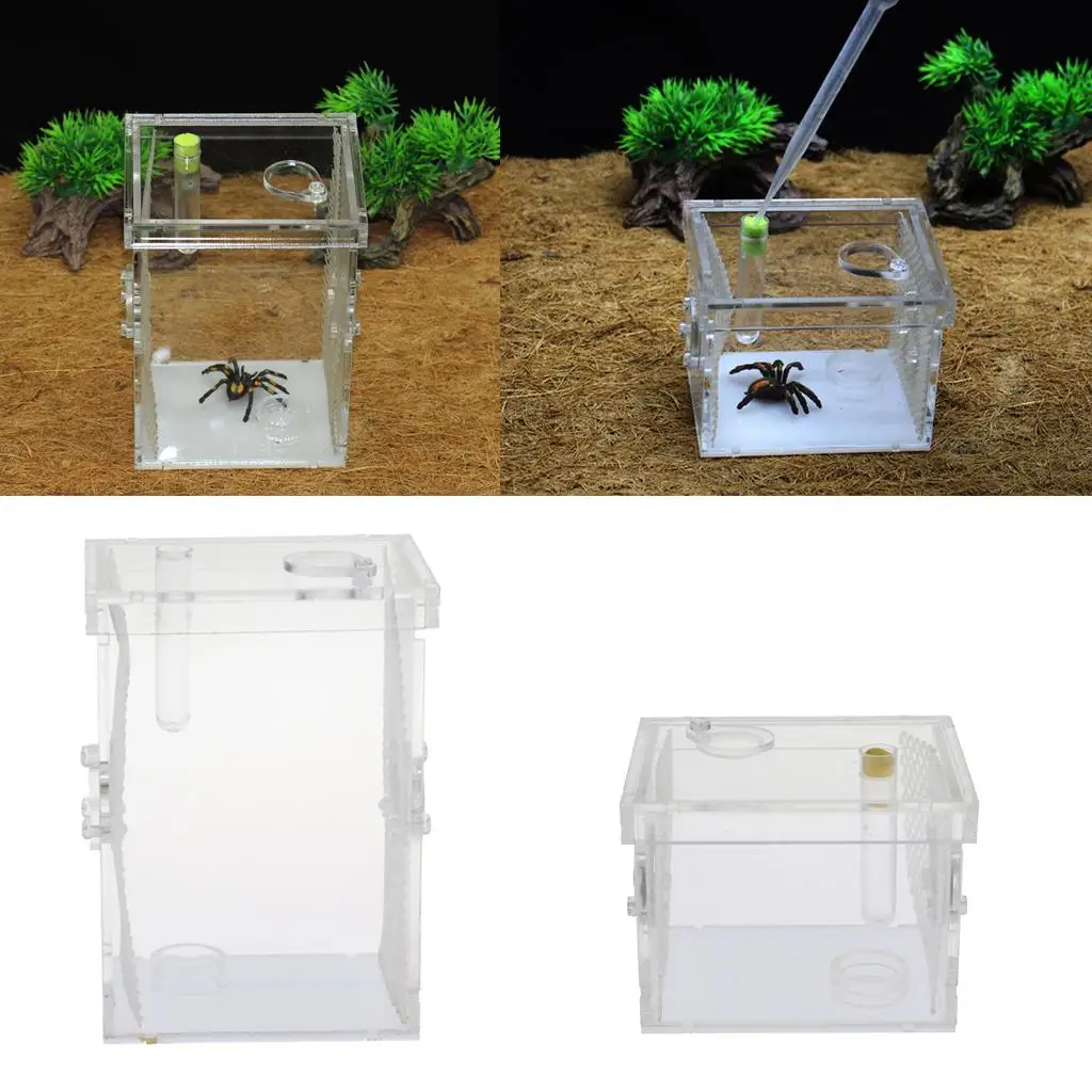 Small And Large Breathable Feeding Box Transport Case for Scorpion 