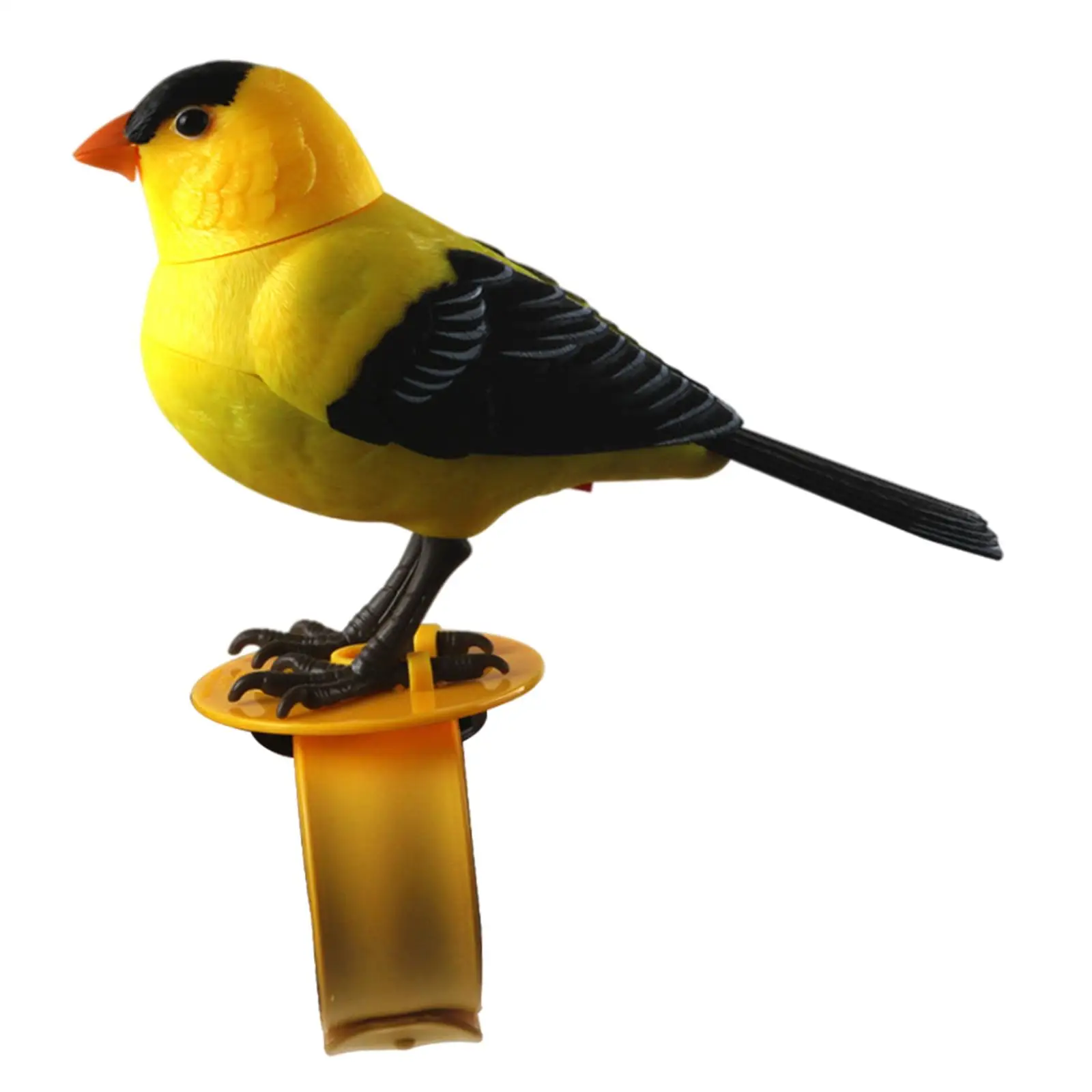 Cute Sing Electronic Birds Toy Music Educational Controlled Bird