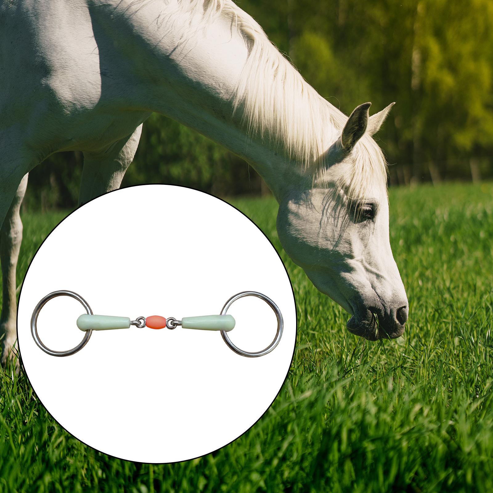 Professional Horse Mouth Bit Stainless Steel for Equipment Training Horse Bridle