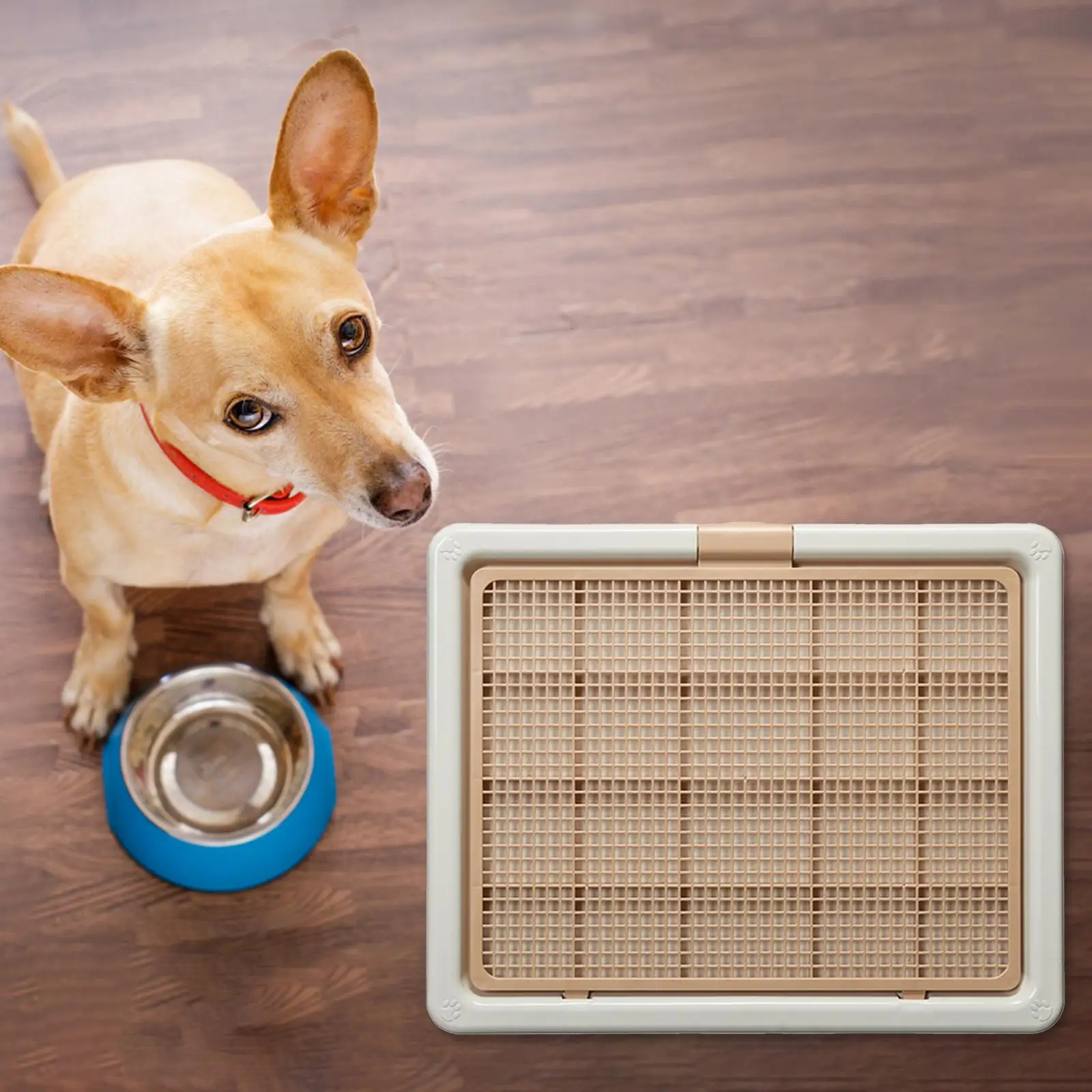 Pet Dog Toilet Easy to Clean Portable Detachable Mesh Grids Puppy Potty Tray