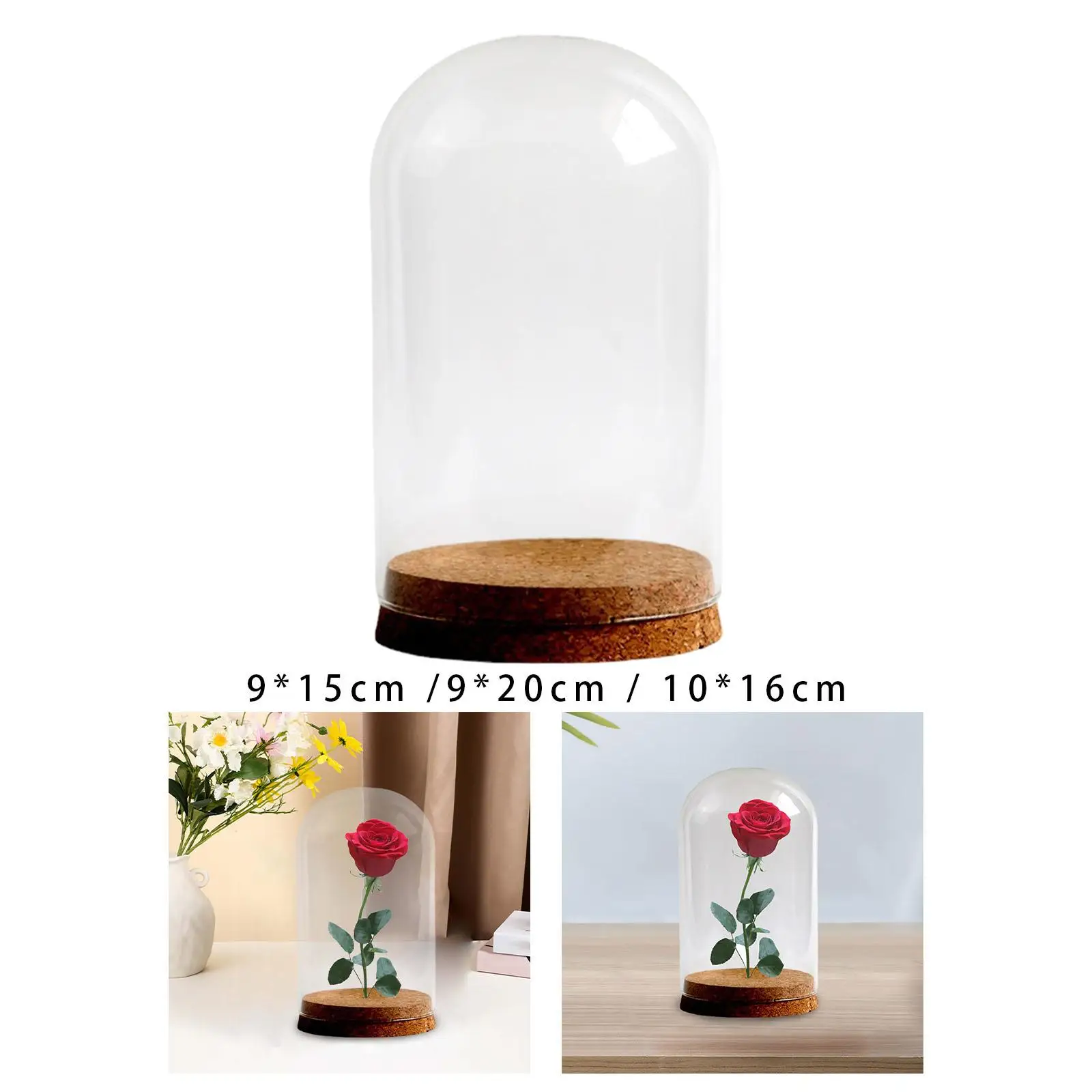 Preserved Flower Glass Cover DIY Modern for Party Anniversaries Study Room