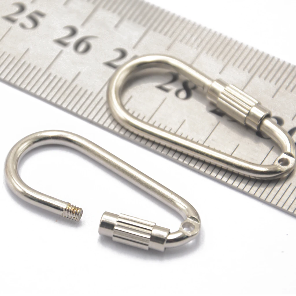 Steel Carabiner Generic D Shape Steel Screw Locking Carabiner Key Ring Clasp Clip Hook Pack of 10 Carabiner Key Ring