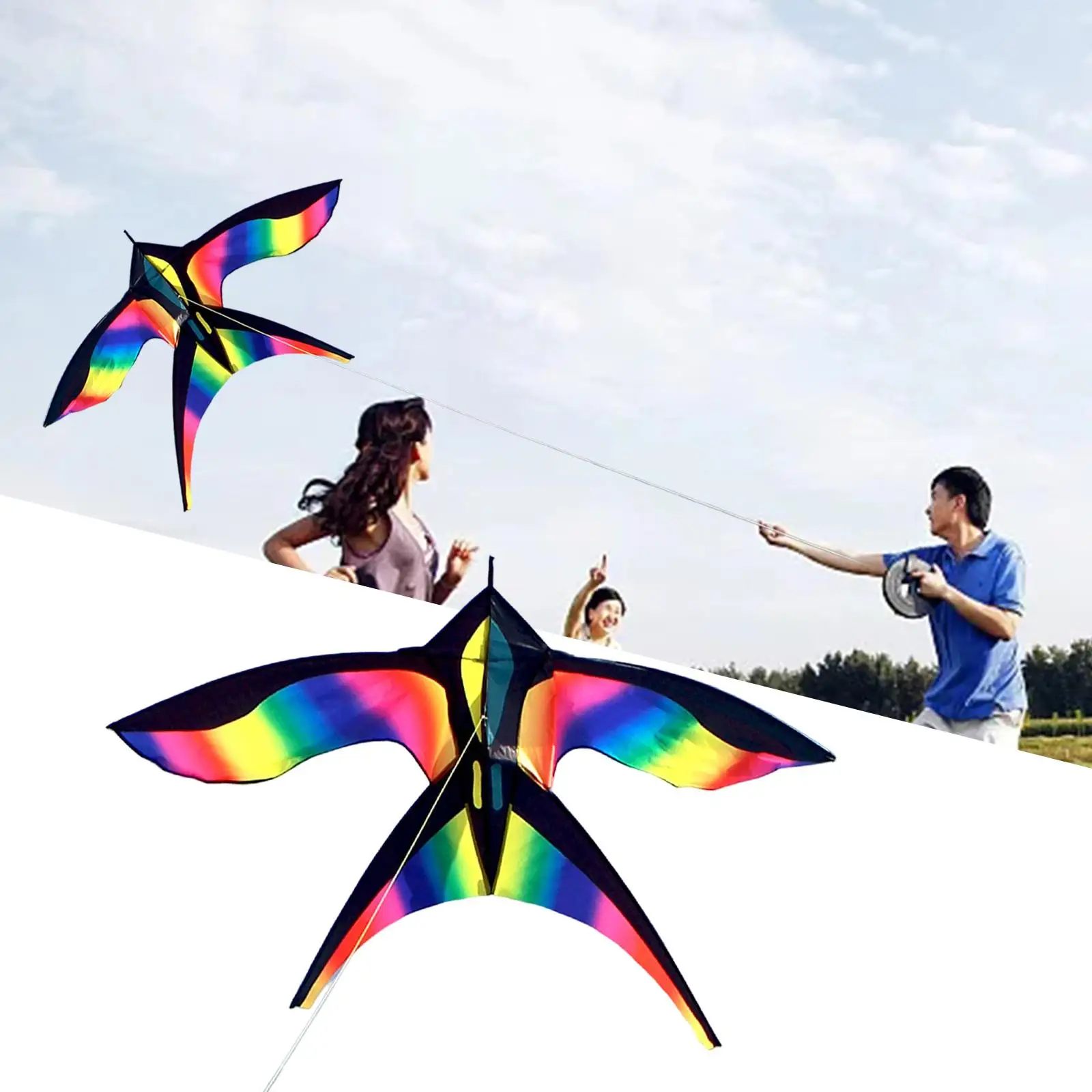 Giant Bird Kite Swallow Kite Single Line with String Huge Wingspan Easy to Fly Rainbow for Toy Beach Games Kids Adults Beginner