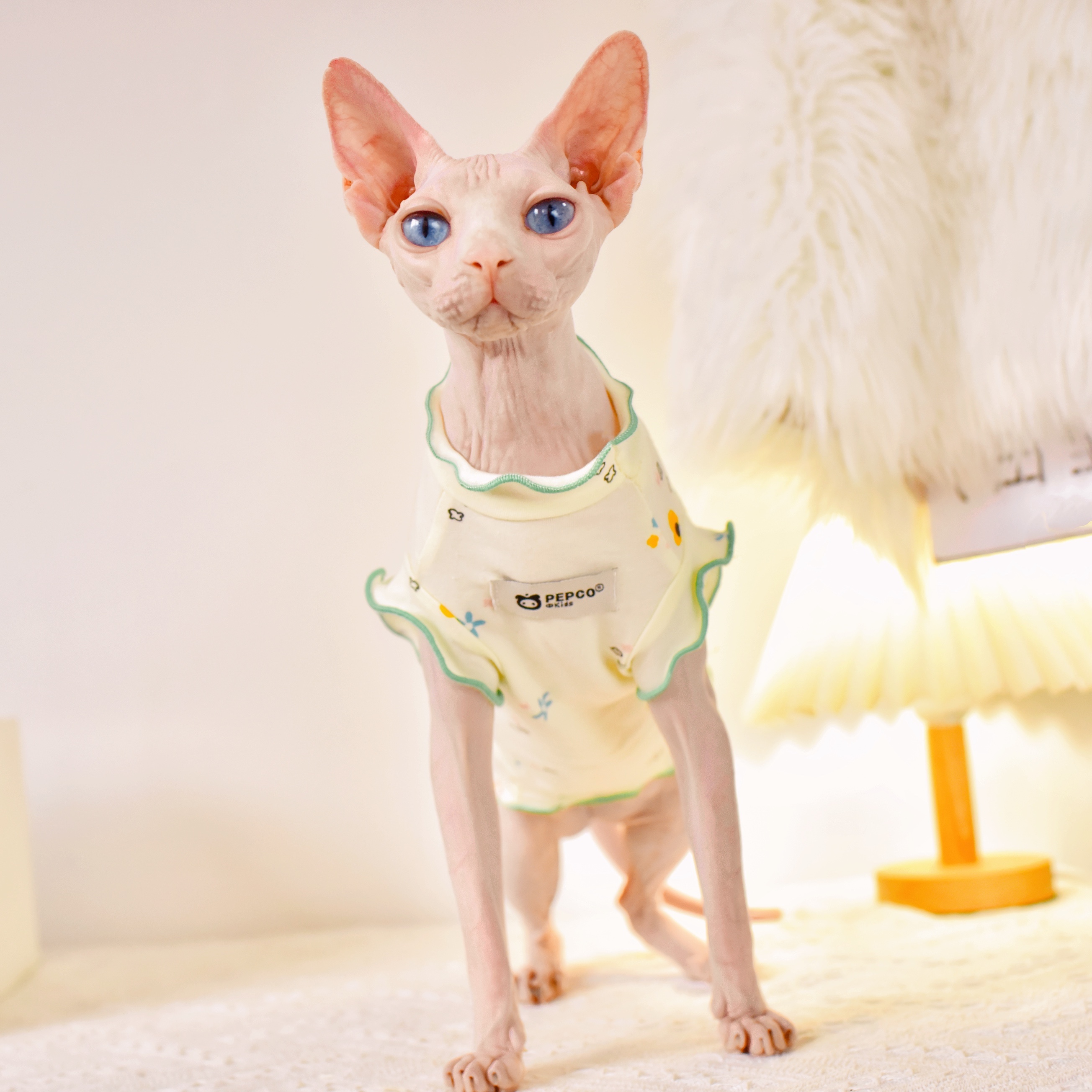 Хлопковый безрукавный жилет Devon Rex с окантовкой в виде яиц, летняя  тонкая одежда в виде кота спайнкса, сфинкса, одежда для кошек без волос,  платья с котенком | AliExpress