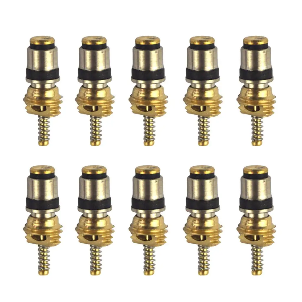 10pcs A/C High Pressure Stem Cores for  