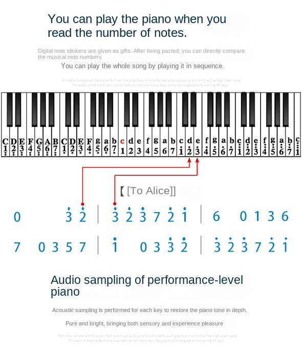 Title 17, Organo elettronico portatile Principiante Inseg...