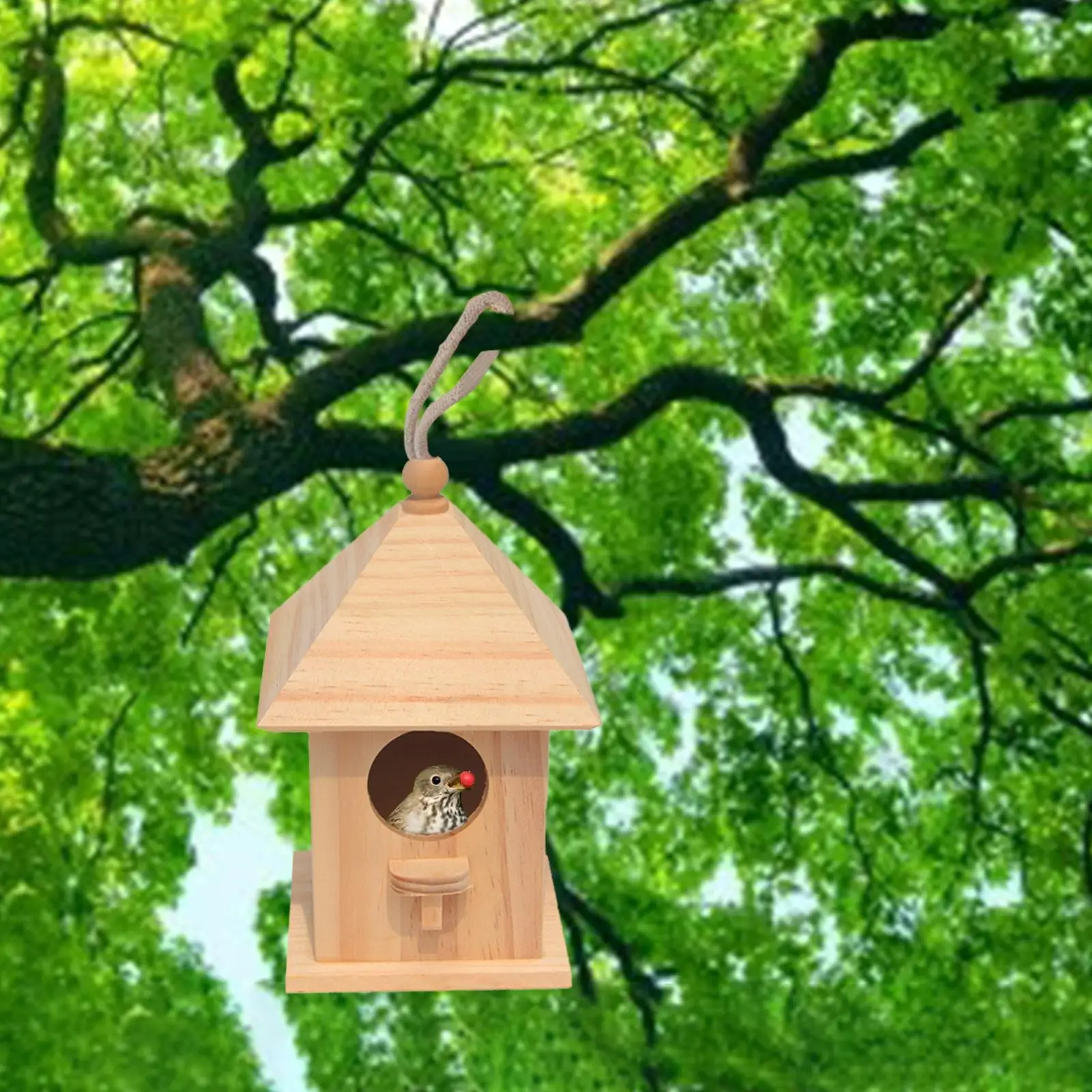 Wooden Birdhouse DIY Arts Crafts with Viewing Window Wood Decoration Birdcage for Yard Garden Backyard Children Adult Wild Bird