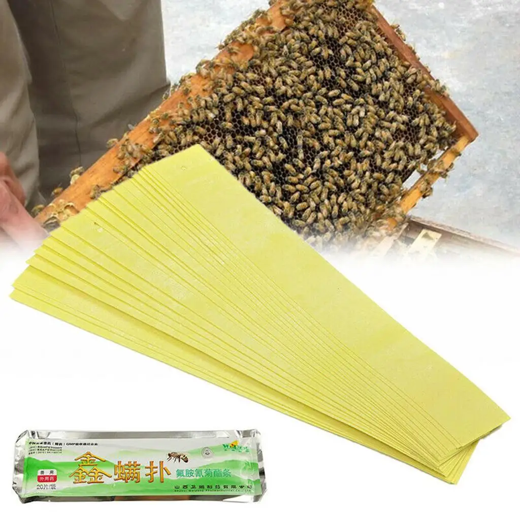 Beekeeping Fluvalinate Bee Mite Varroa  Beekeeping Medicine Strip