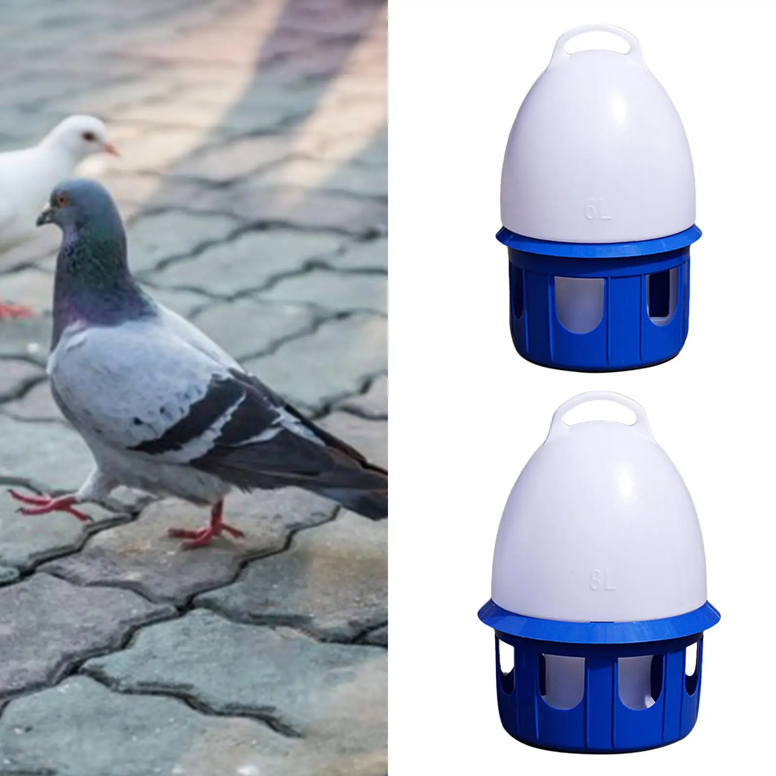 Pigeon Waterer Drinker Feeder Automatic Bird Water Dispenser for Parrot Dove