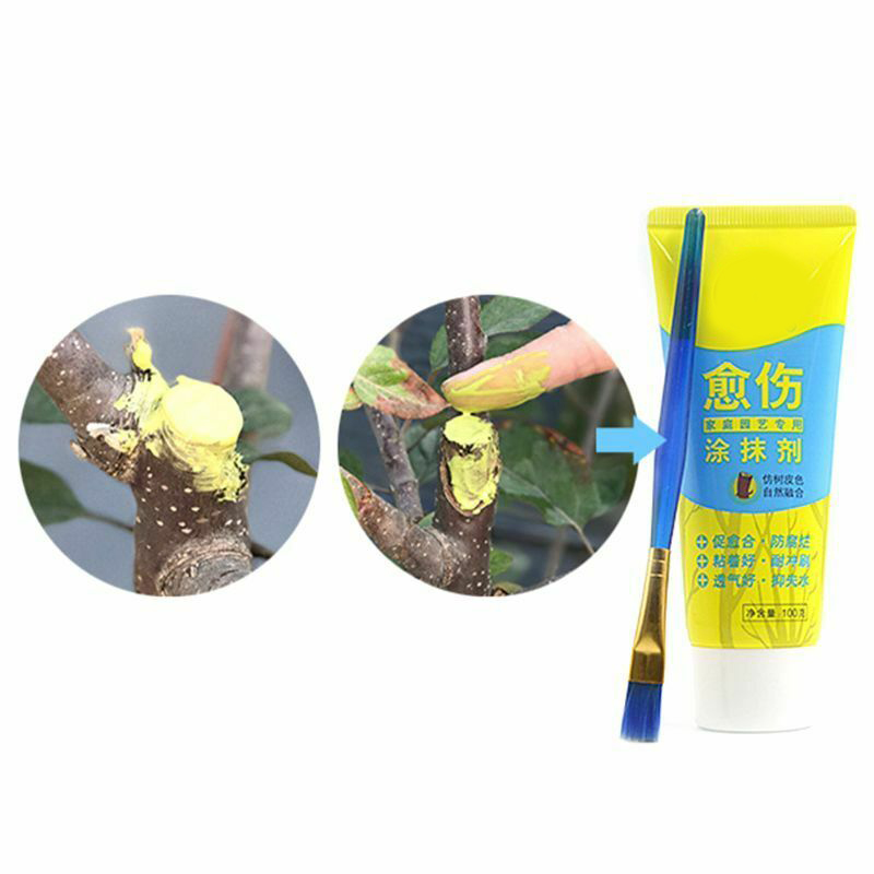 Description Picture 3 of itemTree Wound Bonsai Cut Paste Smear Agent Pruning Compound Sealer With Brush