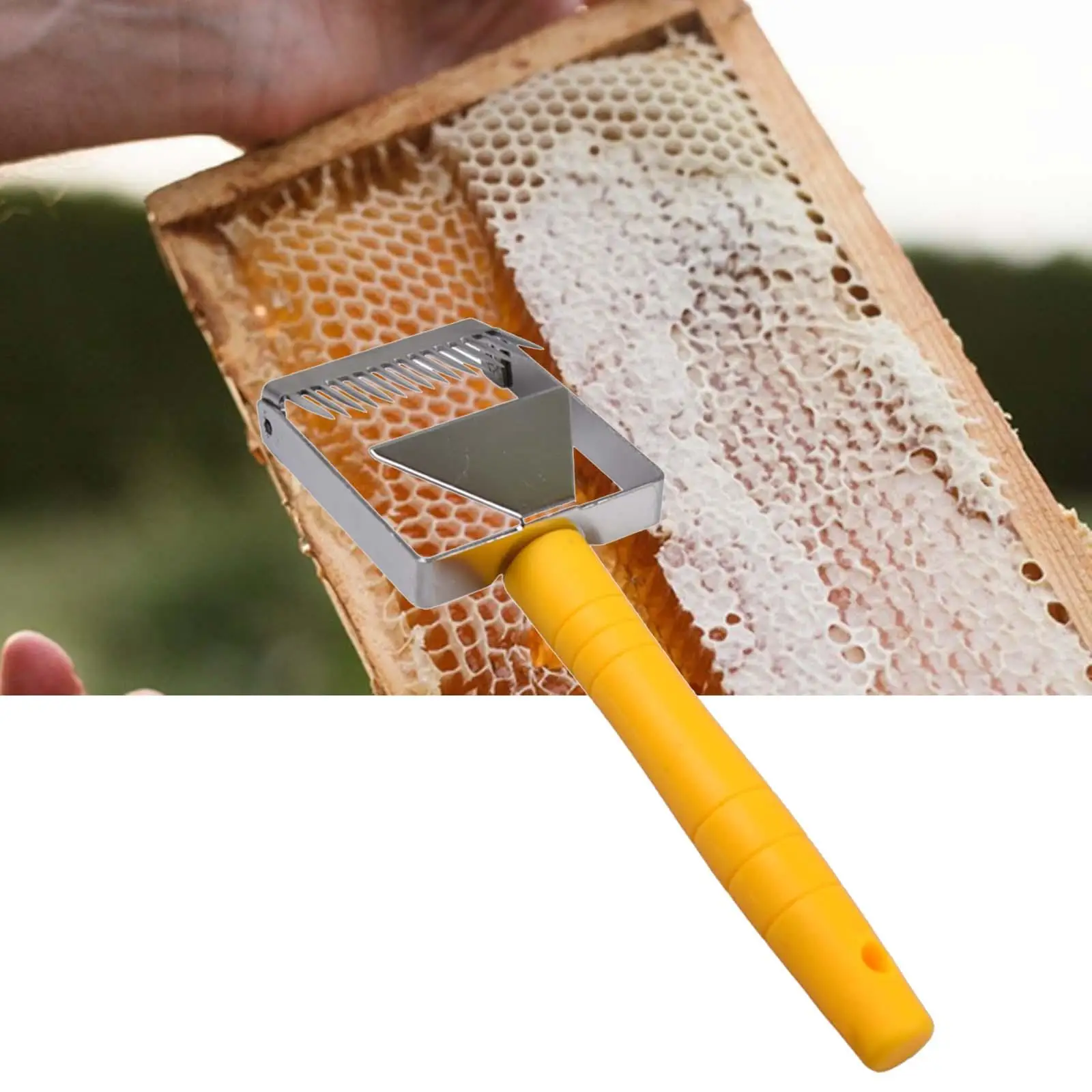 Bee Uncapping Fork Beehive Bee Keeping Tool for Beekeeping Tool Beekeeper Hive Equipment Tool Scraper Tool Beekeeping Hook