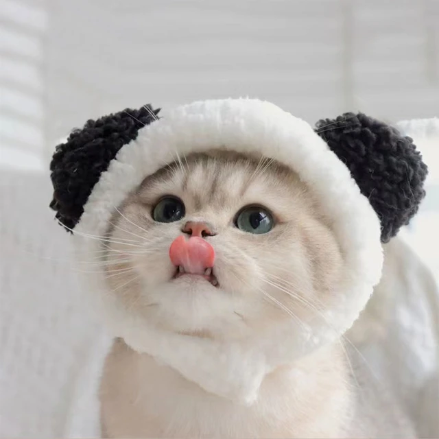 かわいい子猫のぬいぐるみパンダの帽子,休暇やパーティーのための帽子 ...
