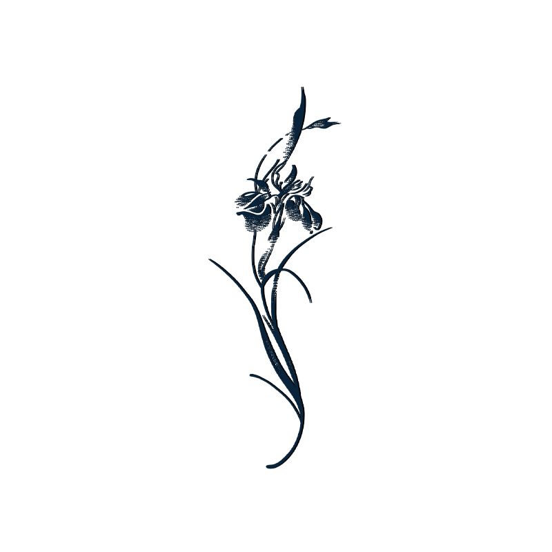 Kräutersaft Tattoo Aufkleber für Frauen Finger Dauerhafte Tattoo Sexy Iris Blume Temporäre Tattoos Schlüsselbein Wasserdicht Fake Tattoo – Detail 2