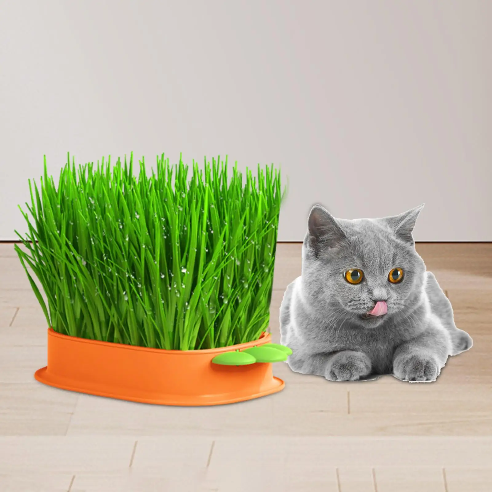 Seed Sprouter Tray with Drain Holes Cat Snack Tray Hydroponic Cat Grass Box