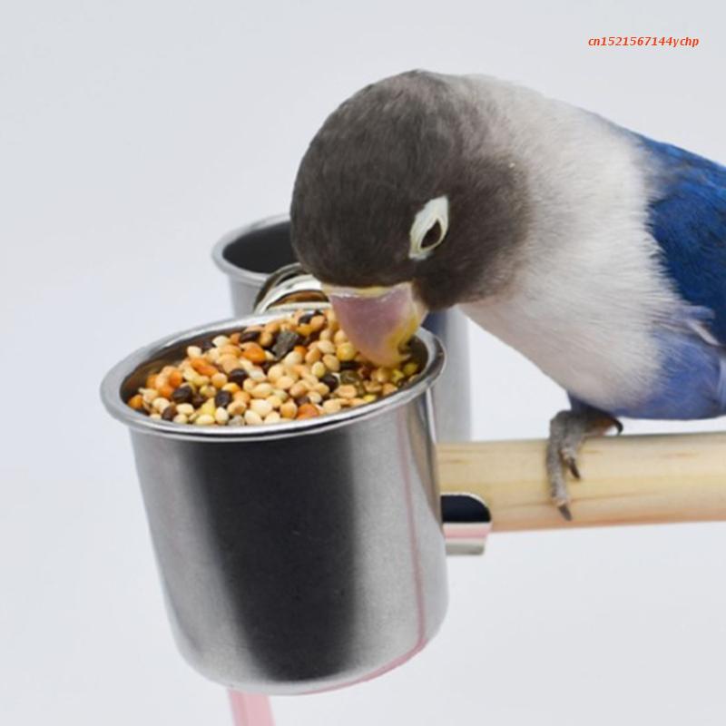 Title 5, Stainless Steel Bird Feeder Coop Cup Food Bowl ...