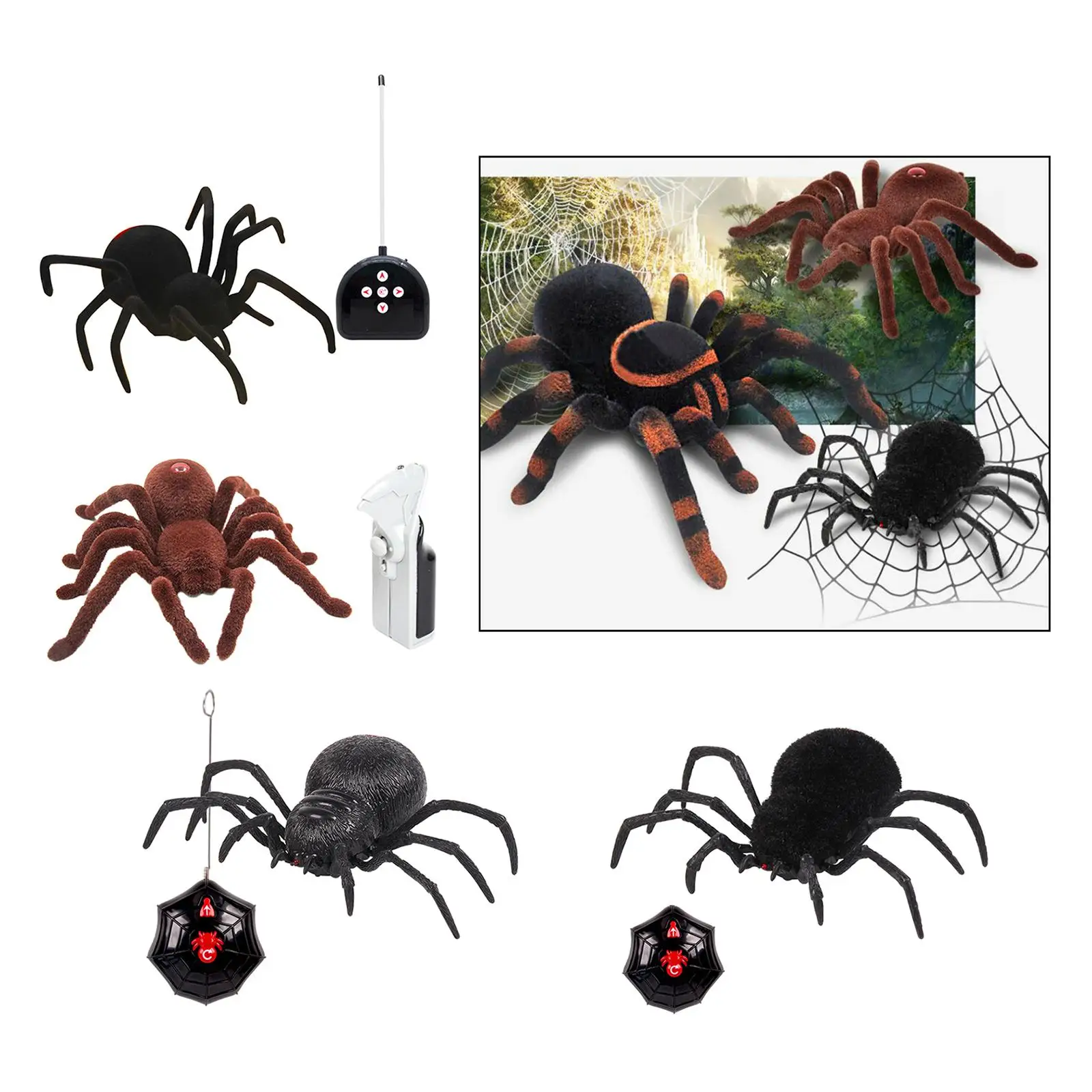 Remote Control Spider  Realistic Funny Toys RC Kids