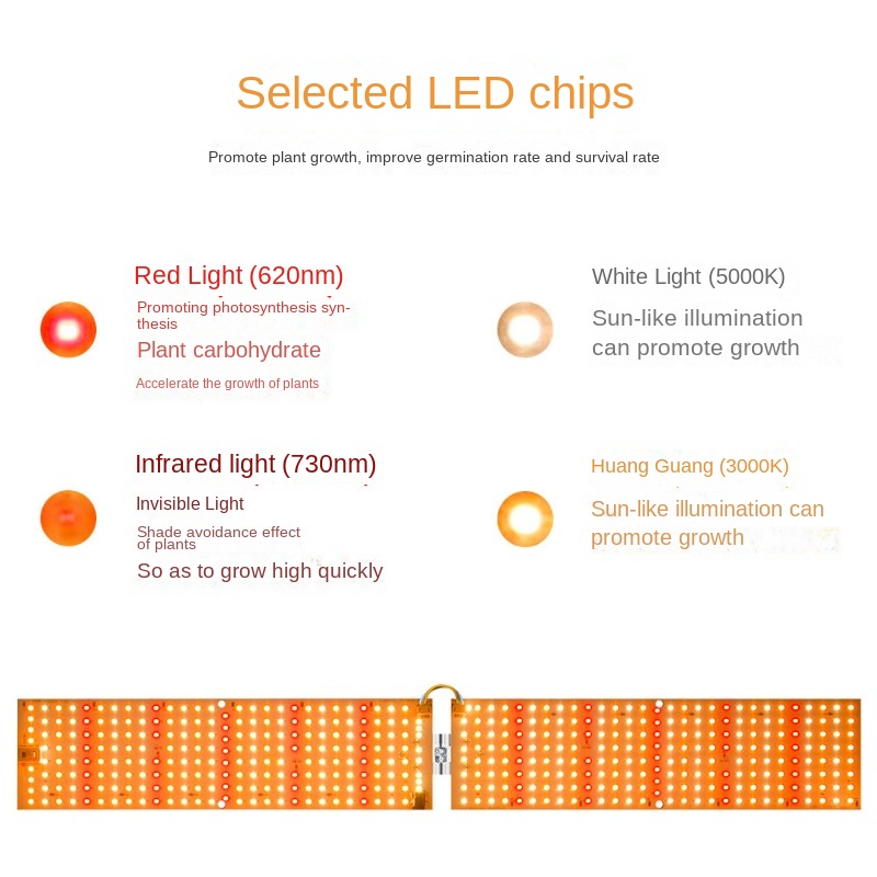 Description Picture 4 of item3500W Led Grow Light Phytolamp For Plants Bulb Full Spectrum Quantum Board Greenhouse Lamp Phyto Light Hydroponics Flower Seeds