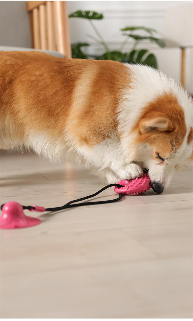 Dog Toys Silicon Suction Cup Tug Interactive Dog Ball Toy for Pet Chew Bite Tooth Cleaning Toothbrush Slow Food Pet Supplies