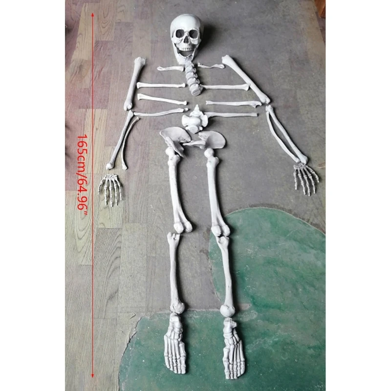 28 PCS Skeleton Bone with Skull Artificial Realistic Skeleton Statue for Halloween Spooky Graveyard Ground Bar Party Decoration