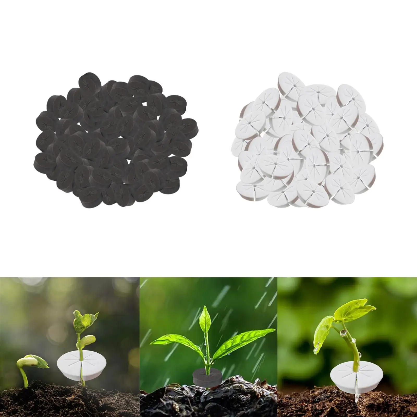 Cylindric Plants Roots Fixed Sponge Seed Growing Media Good Absorption Protect Seedling Soft for Agriculture Roots Growth Fruits