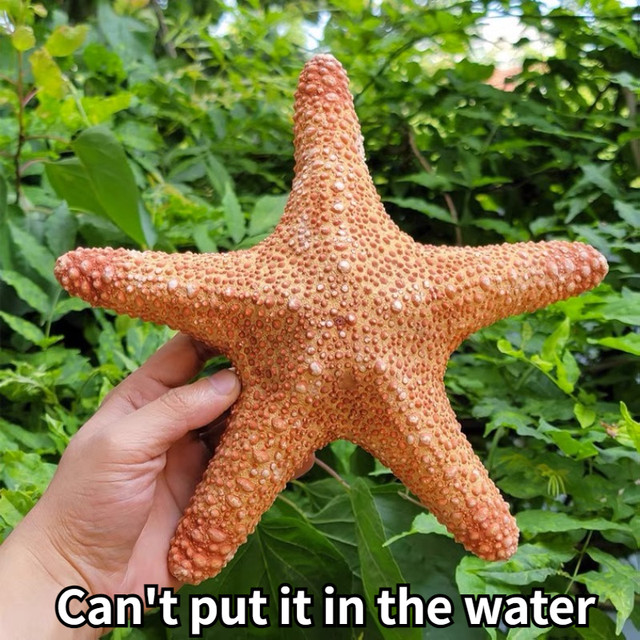 Stelle Marine Decorative In Plastica - Per Centrotavola, Matrimoni E Fai Da Te - Foto 2