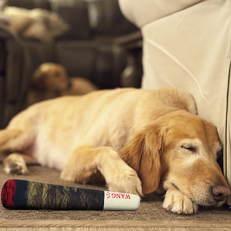 why do dogs sleep with a toy in their mouth