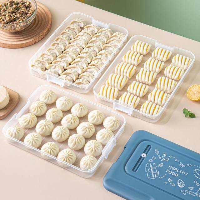 Large Capacity Dumpling Box, Household Refrigerator Freezer Special Sealed  Fresh-keeping Multi-layer Quick-freezing Food Ravioli Storage Box, Home  Kitchen Supplies - Temu