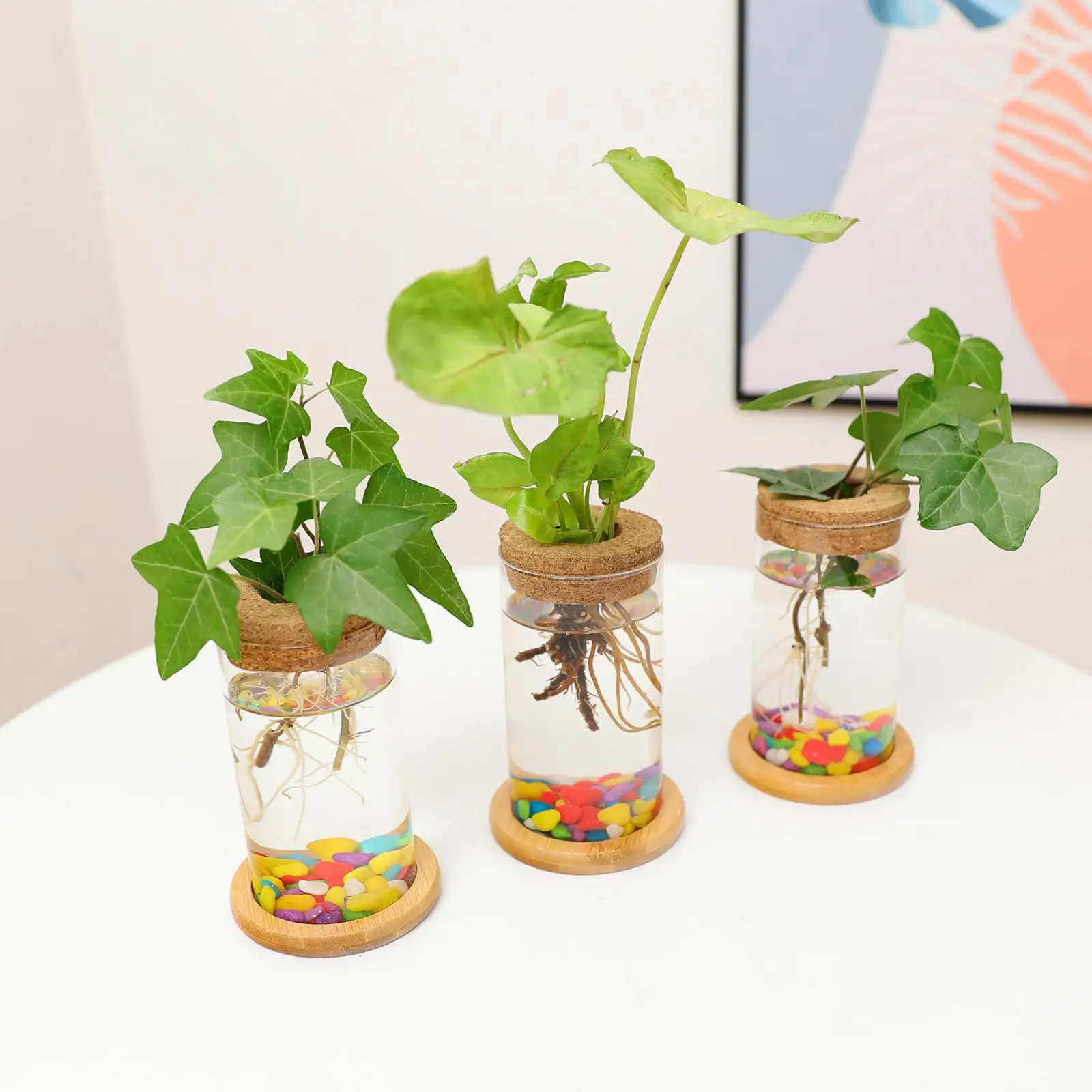 stil nietig Geplooid Glazen Vaas Met Kurk Transparant Propagatie Potten Voor Tuin Planten  Desktop - AliExpress